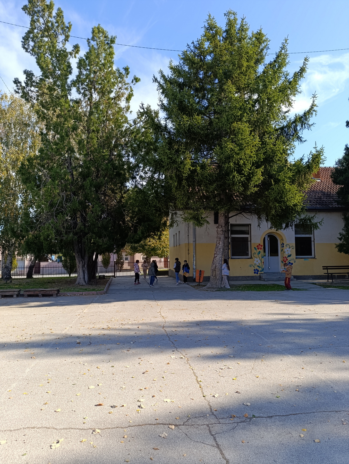 IMG_20241021_102337_resize